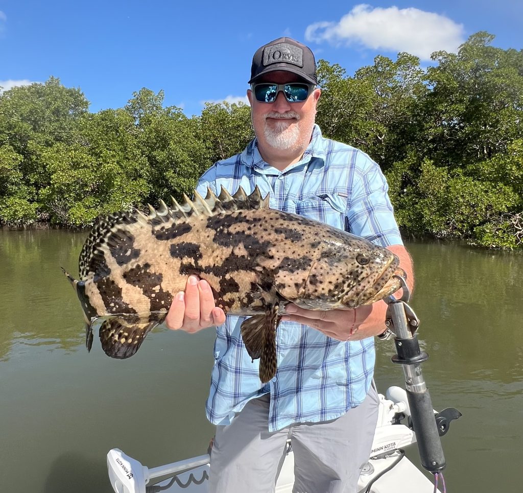 Goliath Grouper NaplesMarco Island Fishing Charter