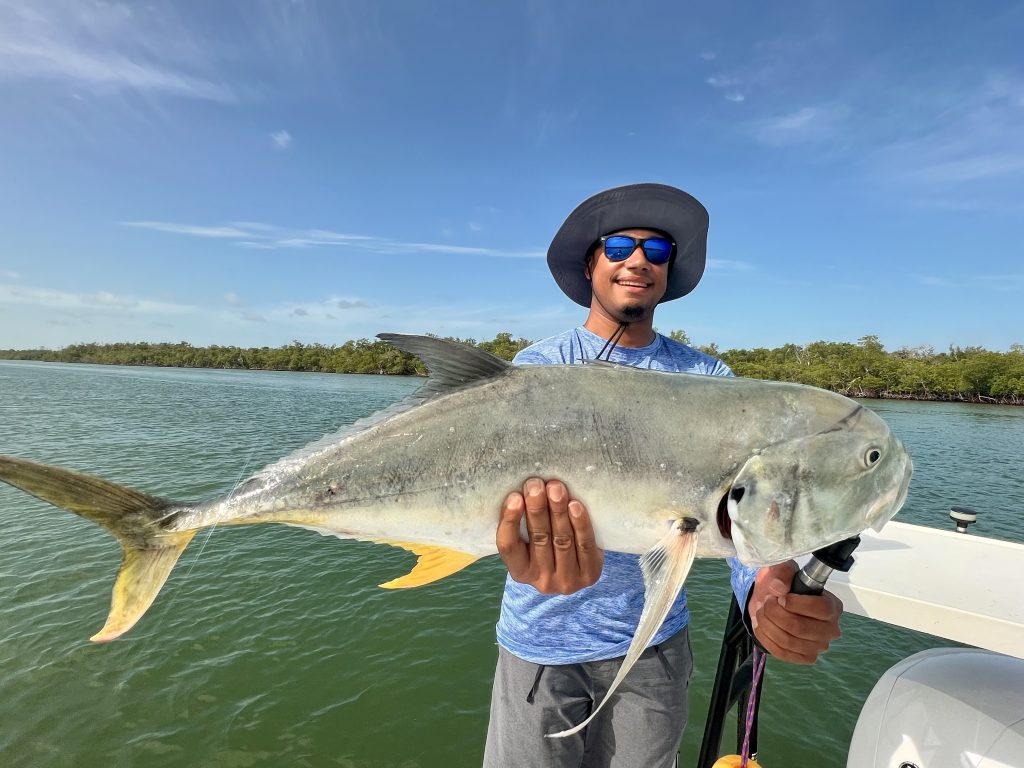 Jack Crevalle Mangroves Fishing Naples Florida Marco Island