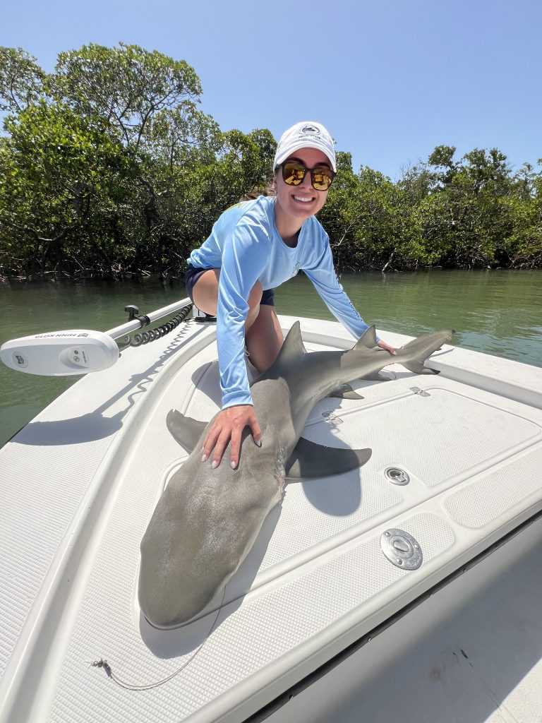 Bull Shark Fishing Captain Mark Ward Southwest Florida Naples Marco Island