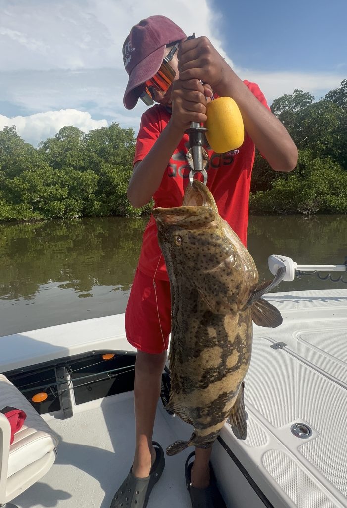 Goliath Grouper Fishing Southwest Florida. Naples and Marco Island